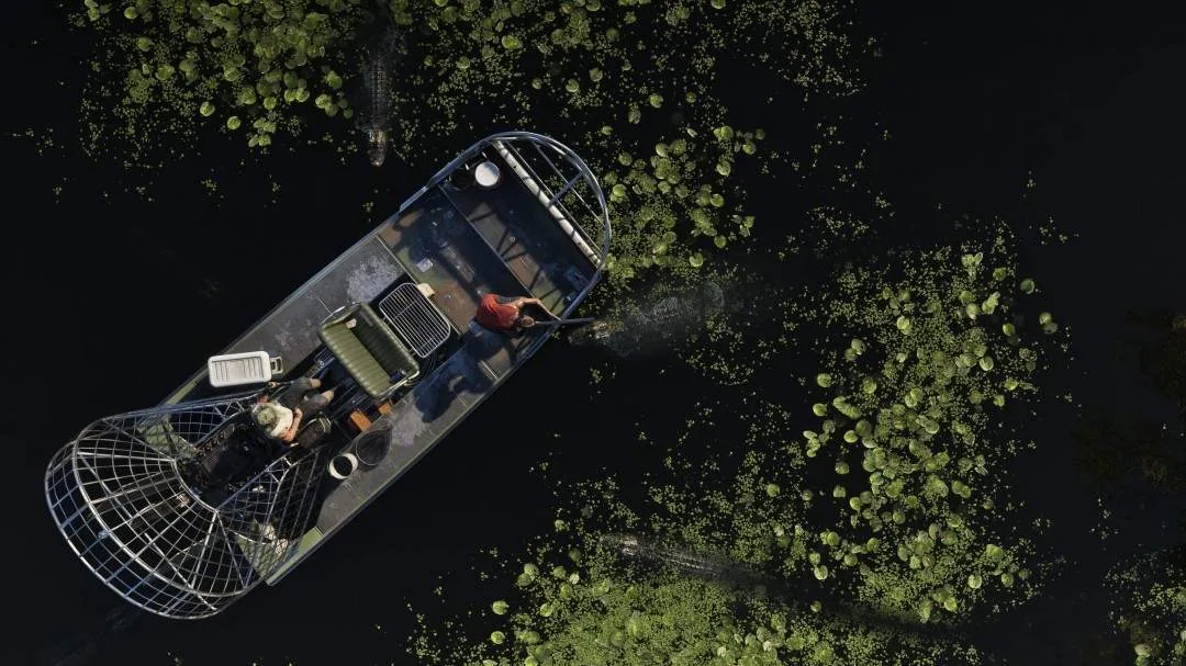 《GTA6》沼泽区域：Grassrivers的原始湿地世界